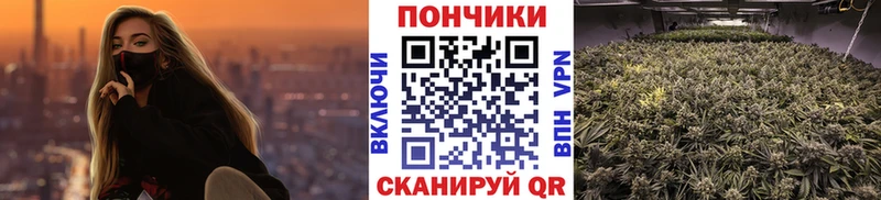 Виды наркоты Каргополь ГАШИШ  A PVP  Меф мяу мяу  Канабис  Кокаин 