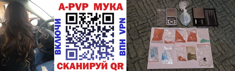 APVP СК  Каргополь 