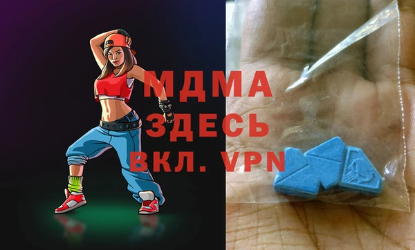 гидра Богородск