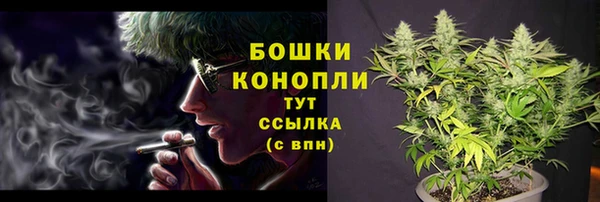 гидропоника Богородицк