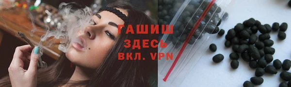 гидра Богородск