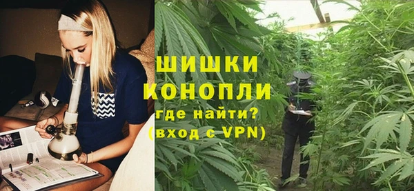 гидра Богородск