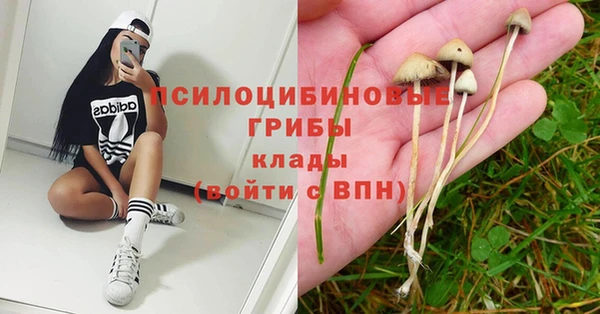 ALPHA PVP Богданович