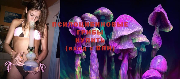 ALPHA PVP Богданович