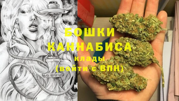 гидра Богородск