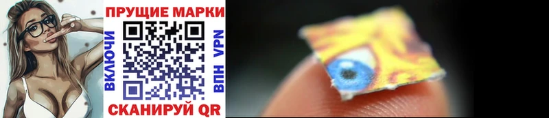 где продают наркотики  Каргополь  Марки 25I-NBOMe 1500мкг 