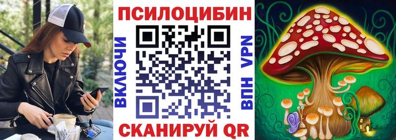 Галлюциногенные грибы MAGIC MUSHROOMS  где можно купить   KRAKEN как зайти  Каргополь 